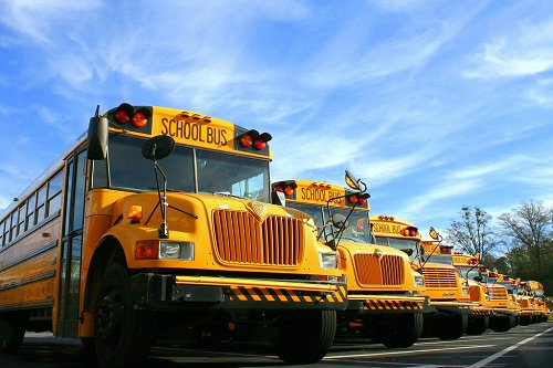 Parked School Busses