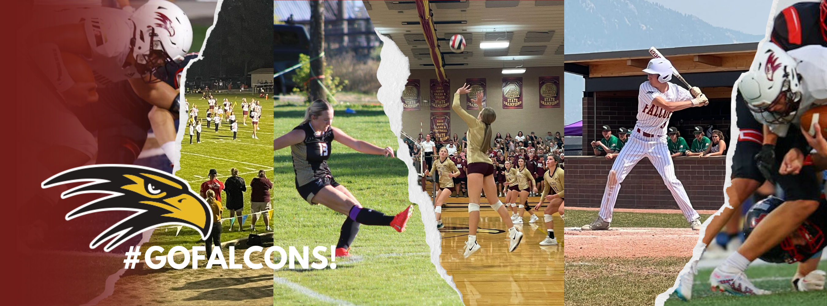 collage of athletes competing in sports. #GO FALCONS!