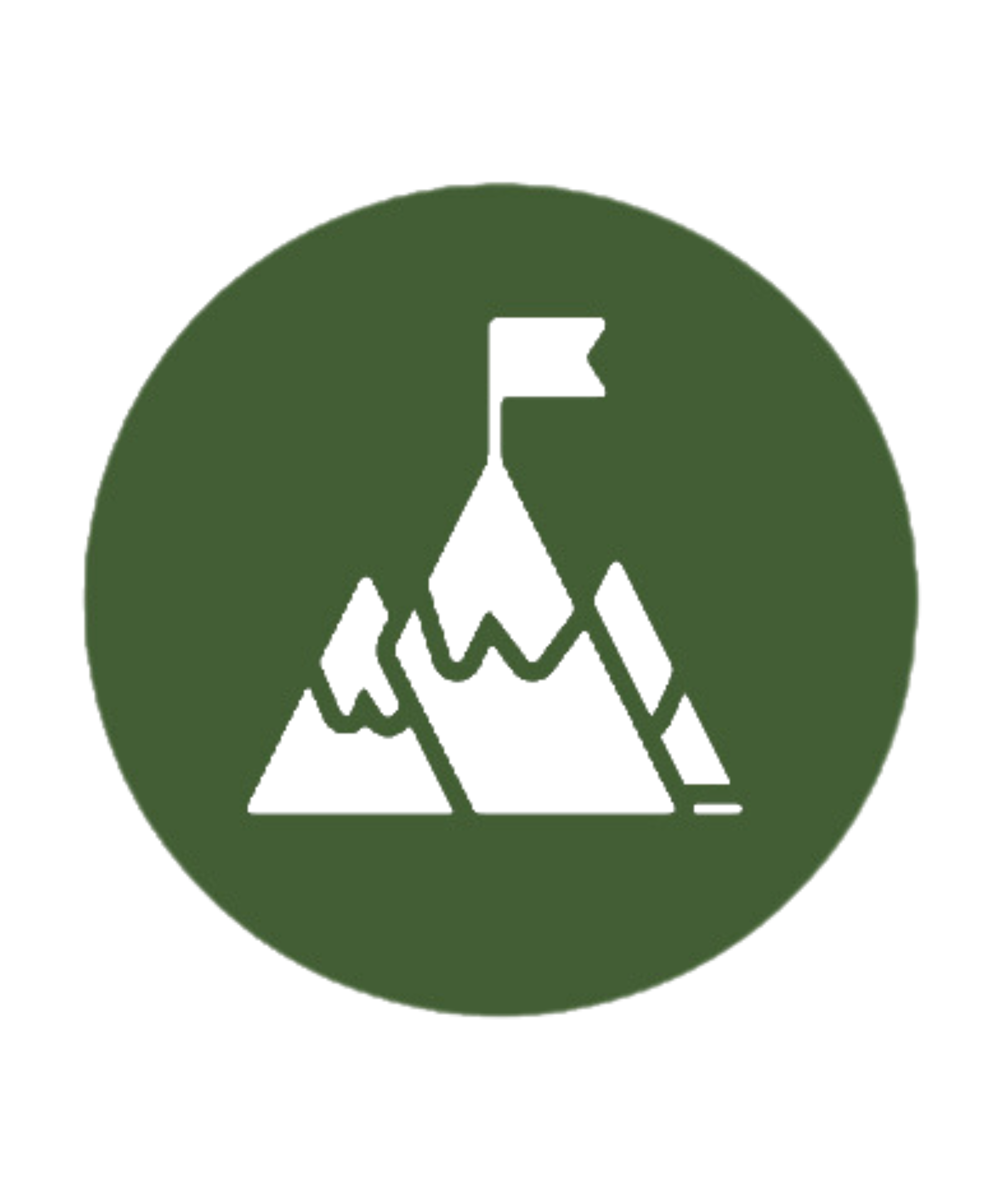 Green circle icon with a mountain with a flag on top of it.