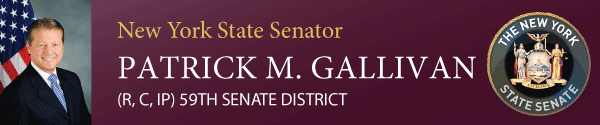 Letter from Senator Gallivan to the 59th District