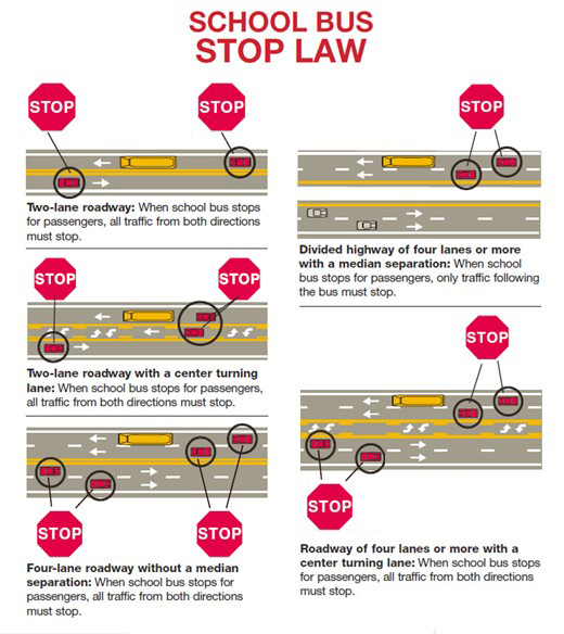 An illustration titled "SCHOOL BUS STOP LAW" showing five different traffic scenarios and the rules for stopping for a school bus in the United States.  Top Left: A two-lane roadway. A school bus is stopped with its stop arm extended. Both vehicles traveling in the same direction as the bus and vehicles traveling in the opposite direction are shown with a "STOP" sign, indicating all traffic must stop.  Middle Left: A two-lane roadway with a center turning lane. A school bus is stopped with its stop arm extended. Both vehicles traveling in the same direction as the bus and vehicles traveling in the opposite direction are shown with a "STOP" sign, indicating all traffic must stop.  Bottom Left: A four-lane roadway without a median separation. A school bus is stopped with its stop arm extended. Both vehicles traveling in the same direction as the bus and vehicles traveling in the opposite direction are shown with a "STOP" sign, indicating all traffic must stop.  Top Right: A divided highway of four lanes or more with a median separation. A school bus is stopped with its stop arm extended. Only vehicles following the bus are shown with a "STOP" sign, indicating they must stop. Vehicles traveling in the opposite direction on the other side of the median are shown without a stop sign.  Bottom Right: A roadway of four lanes or more with a center turning lane. A school bus is stopped with its stop arm extended. Only vehicles following the bus are shown with a "STOP" sign, indicating they must stop. Vehicles traveling in the opposite direction are shown without a stop sign.