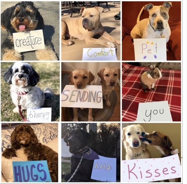 Dog collage
