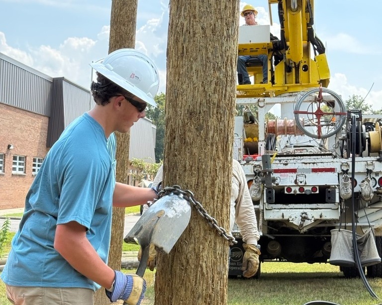 A person works on a tree with a chainsaw, wearing a blue shirt, white helmet, and gloves. Behind, a machinery vehicle is parked.