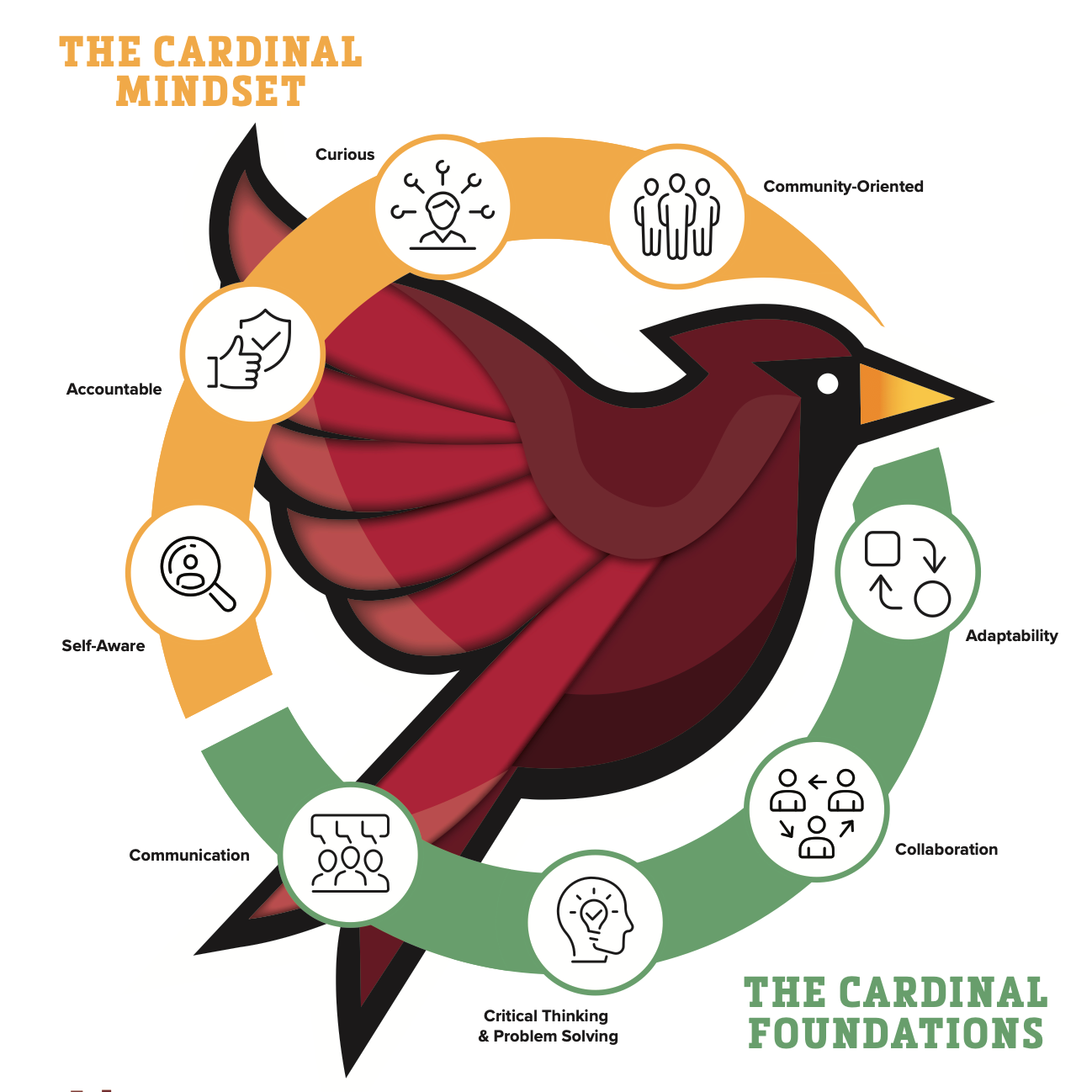 a cardinals journey