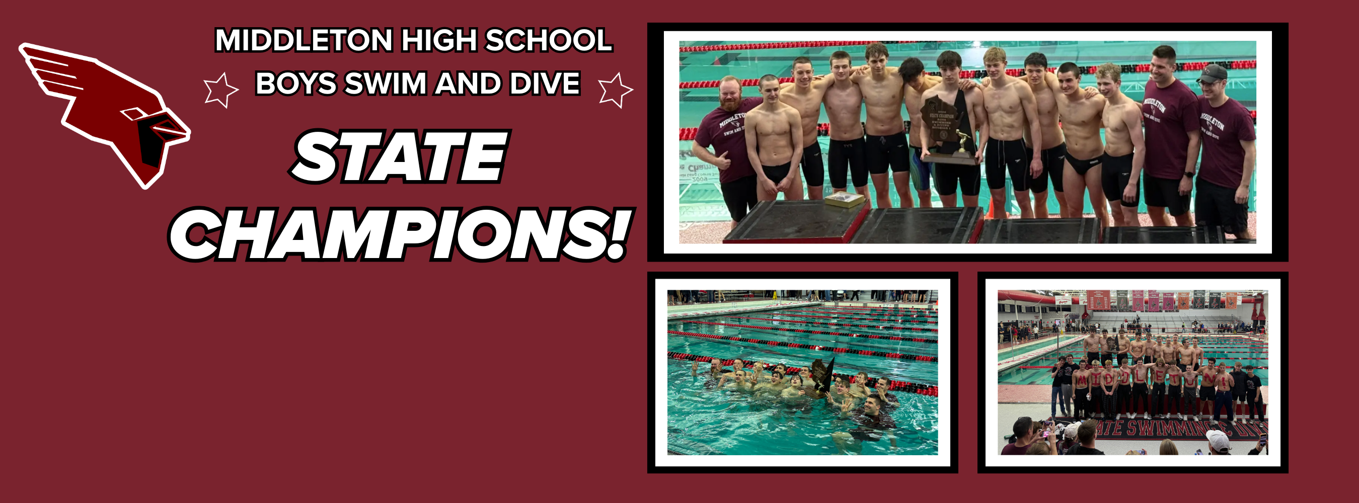 boys swim and dive state champs