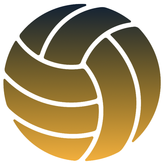 volleyball logo