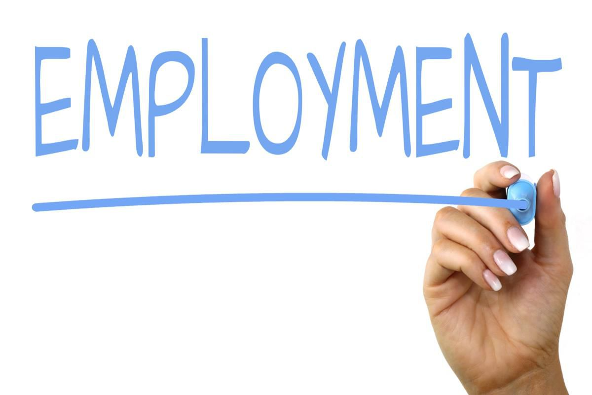 employment