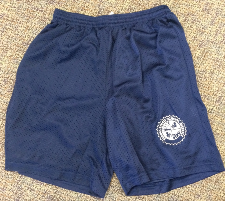 Navy Mesh Shorts $15	
