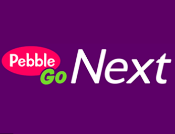 Pebble Go Next icon