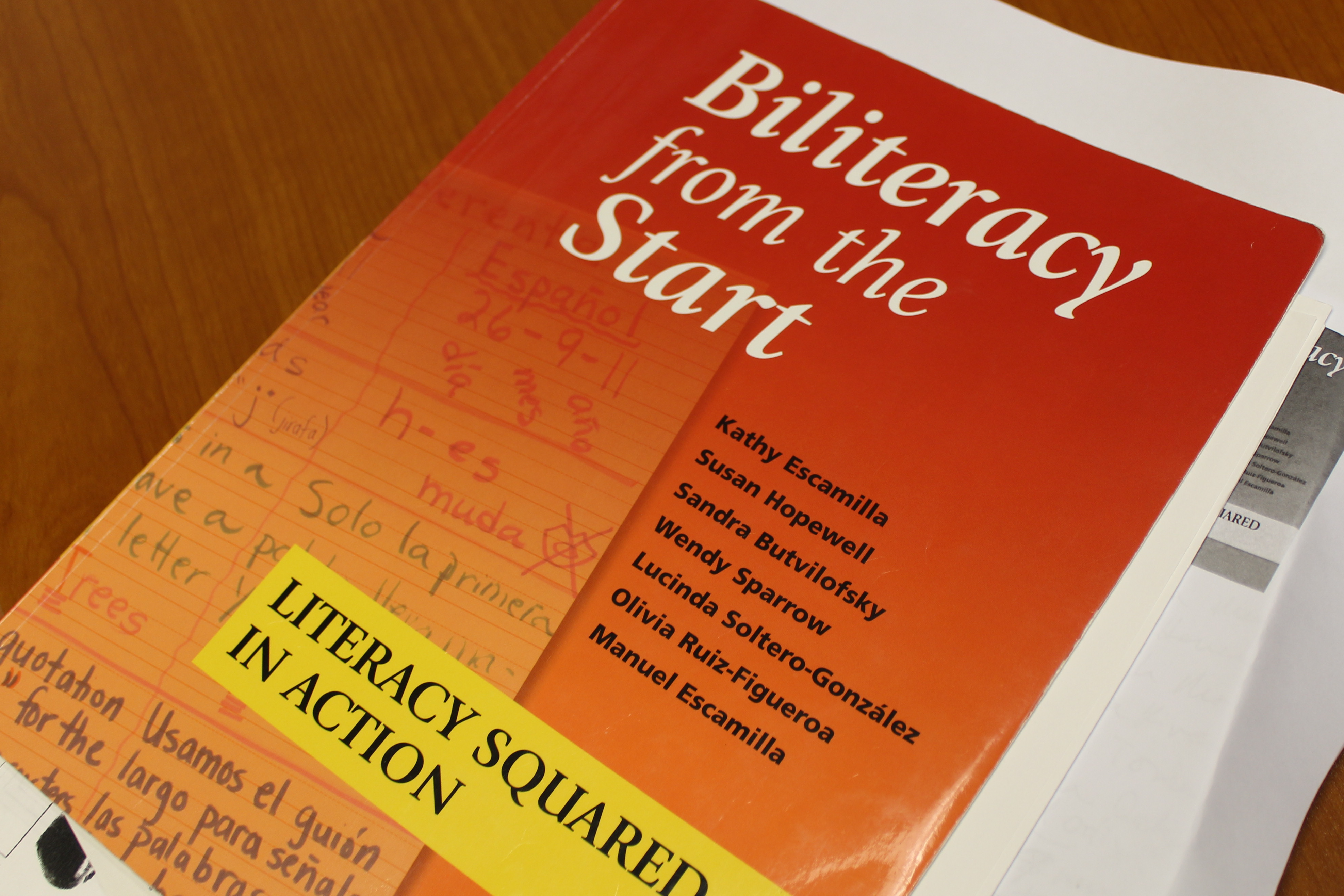 Biliteracy model