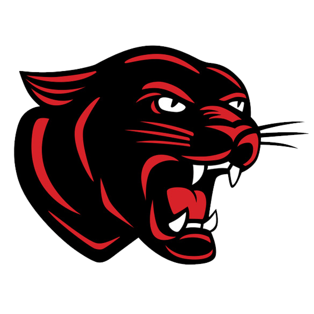 Seth Dickerson Heber Springs Athletics