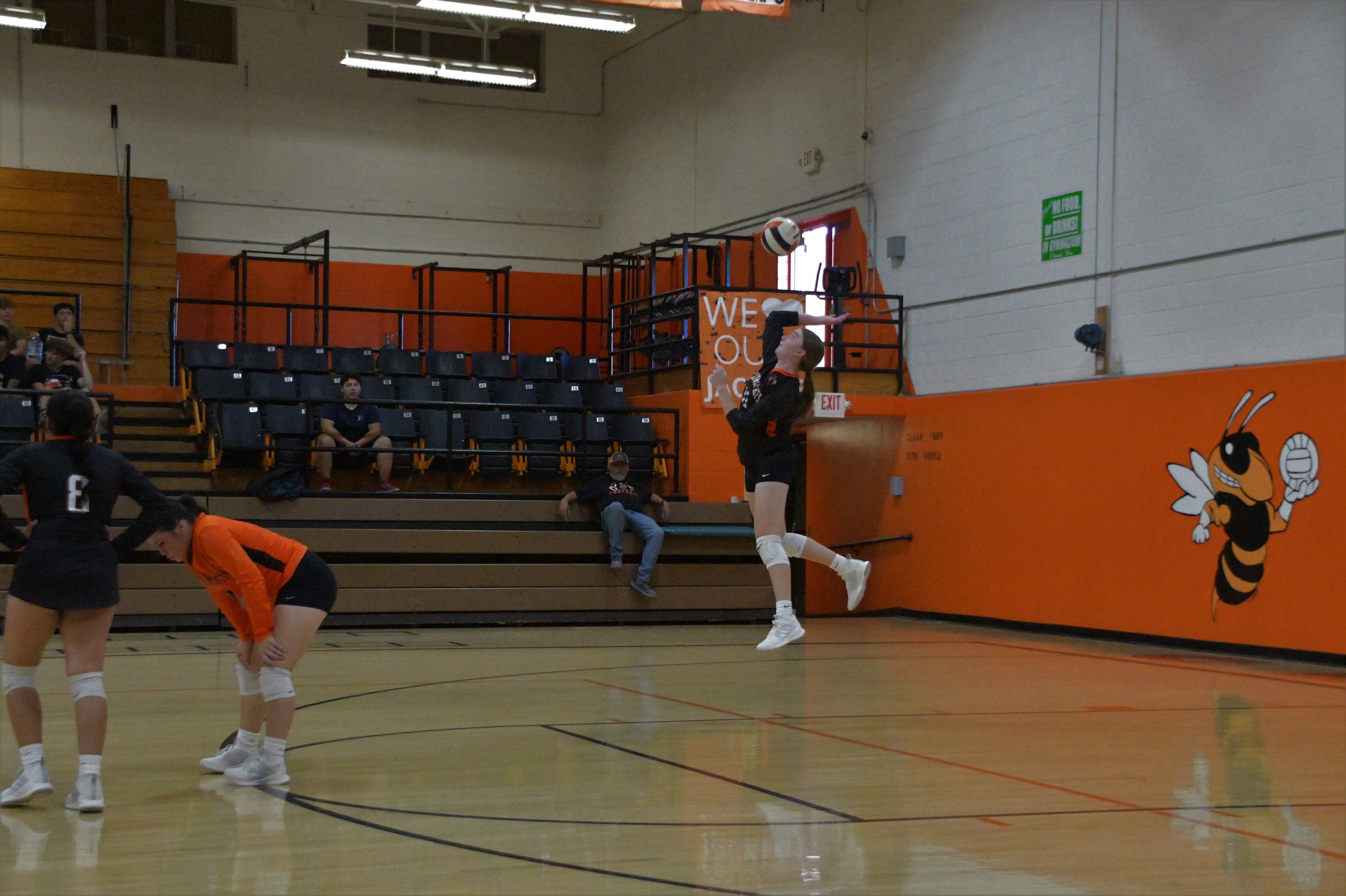 hs-vb