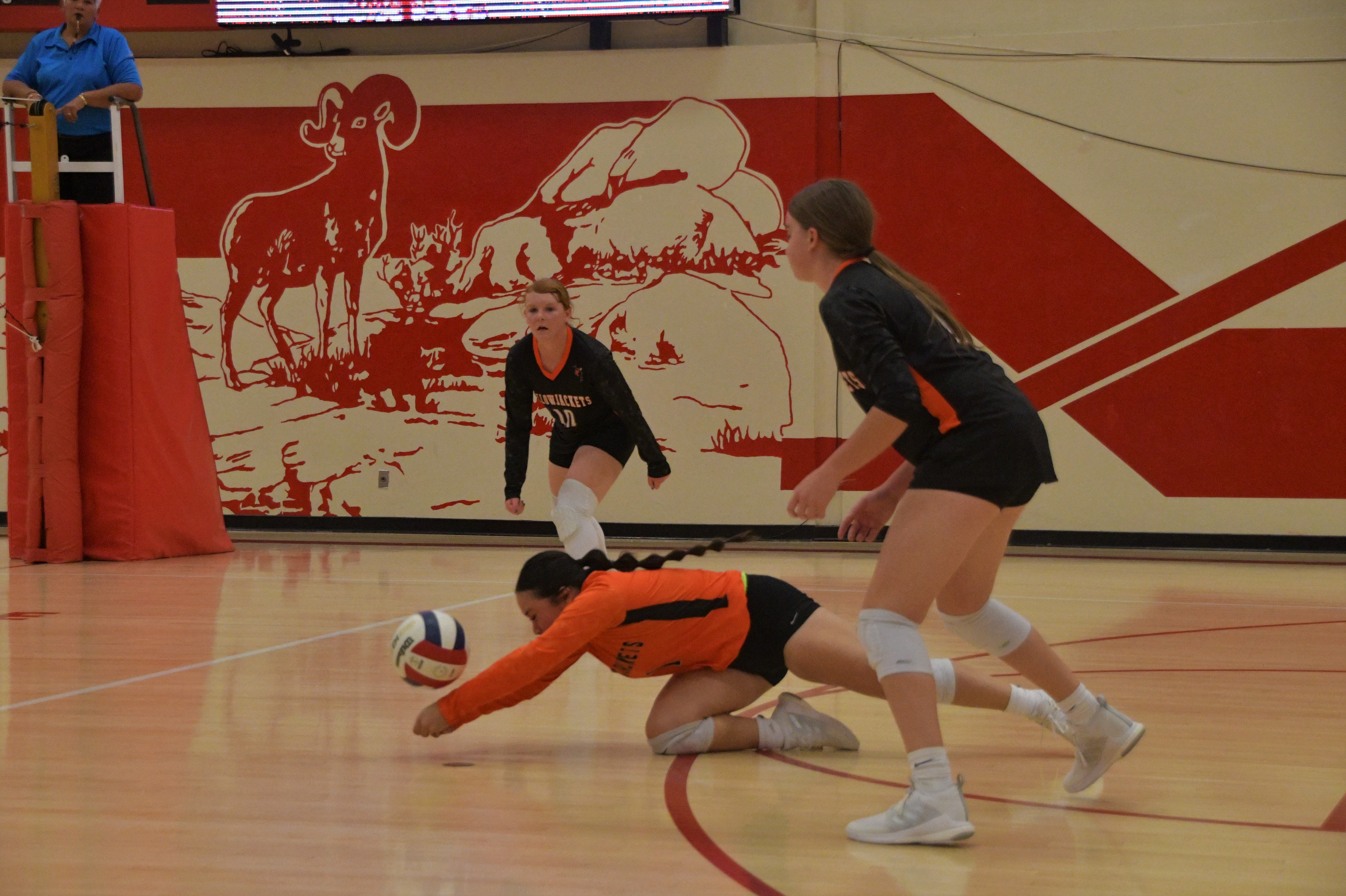 hs-vb