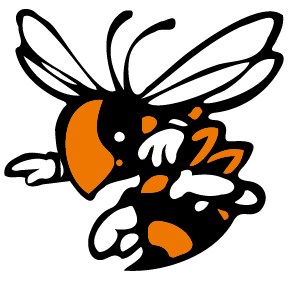 vb4