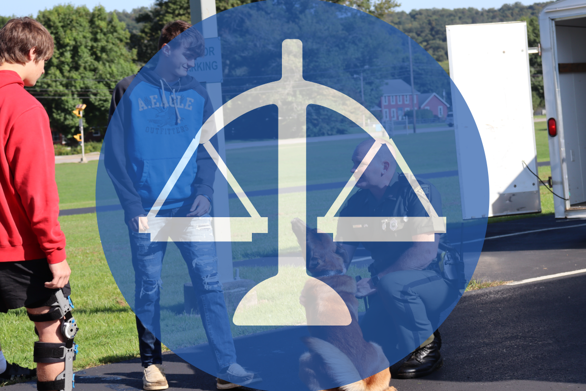 Law and Public Safety