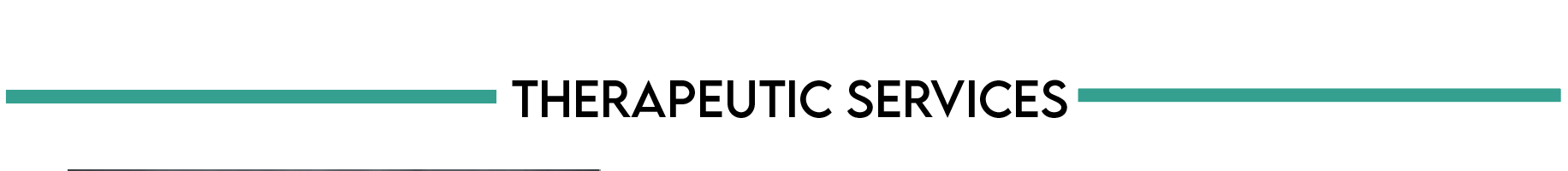 therapeutic service