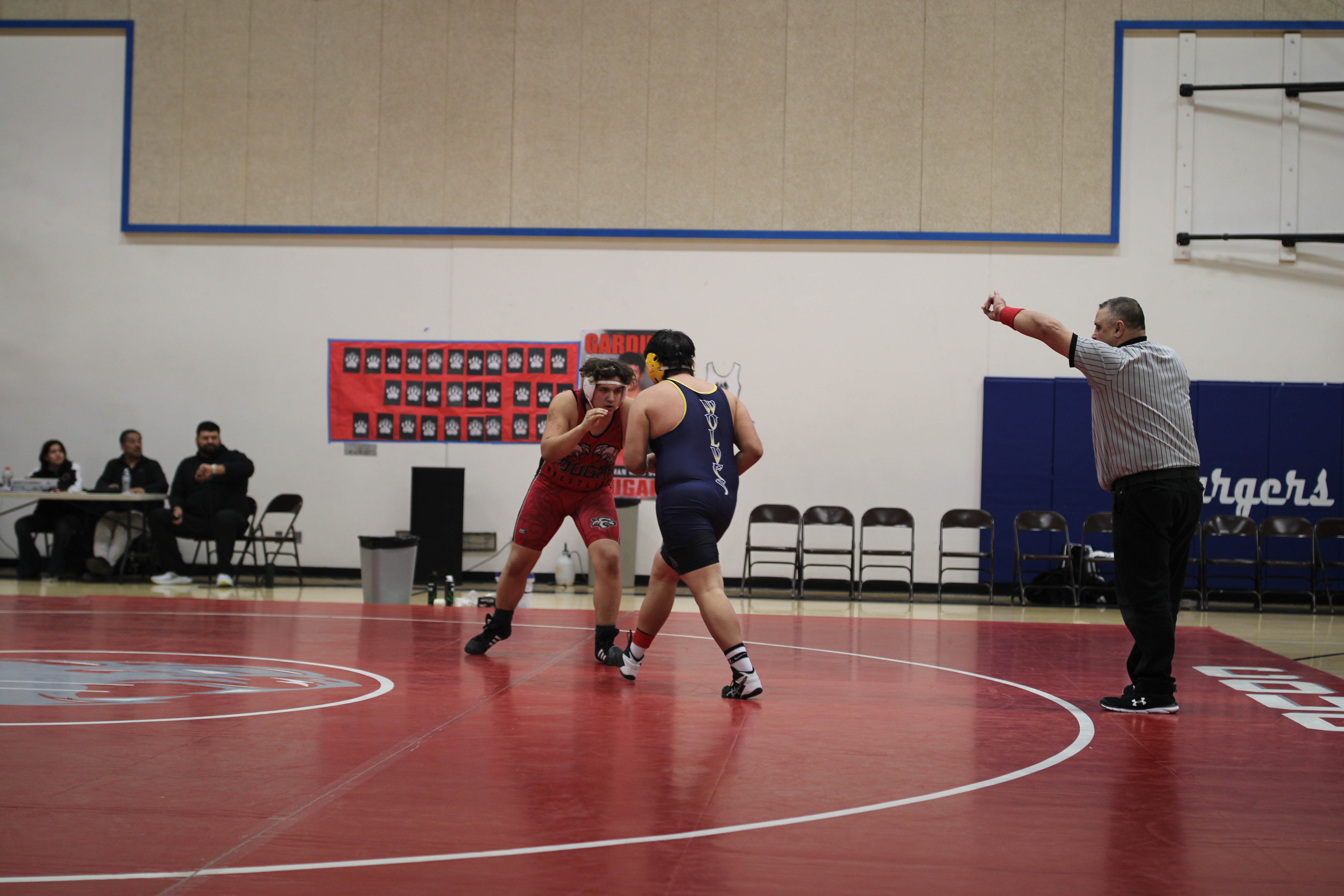 Wrestling