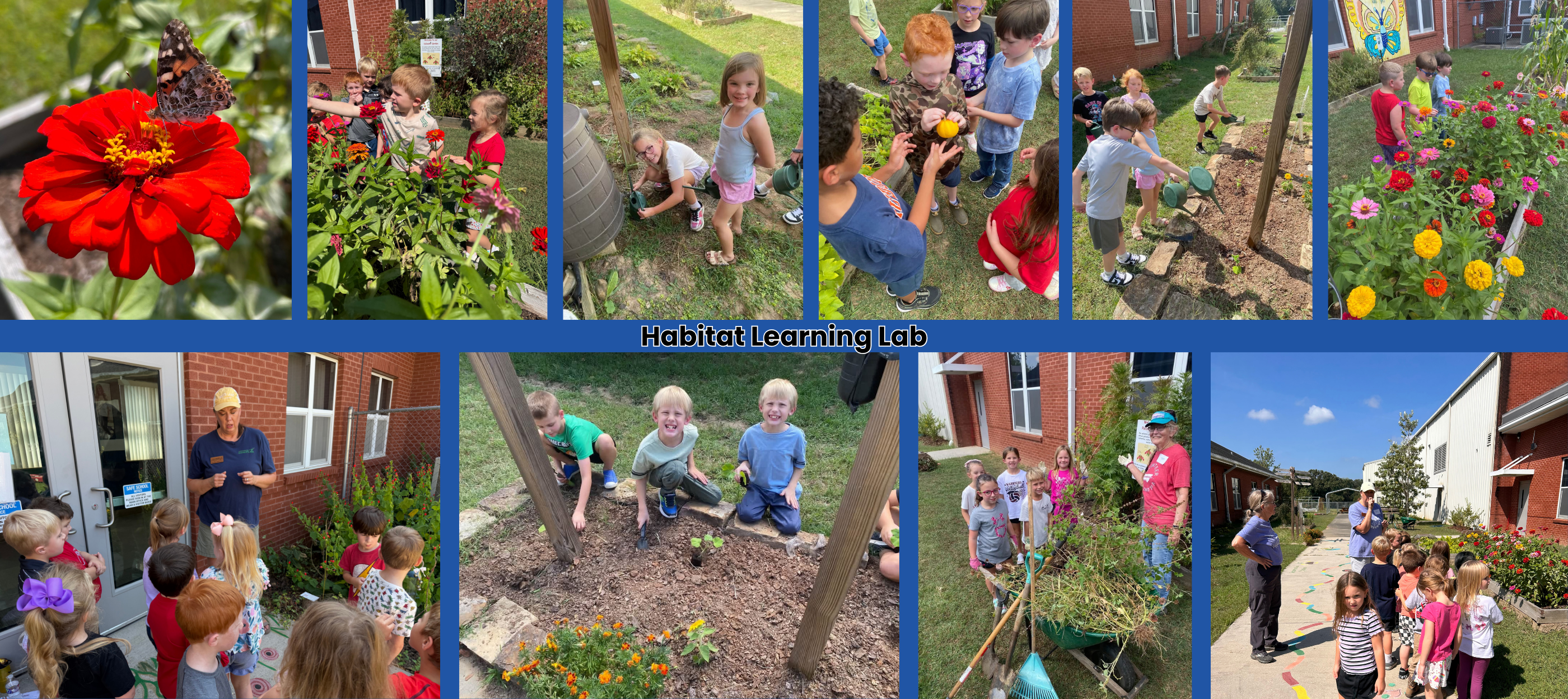 A collage of children gardening in a community garden with flowers and buildings in the background.