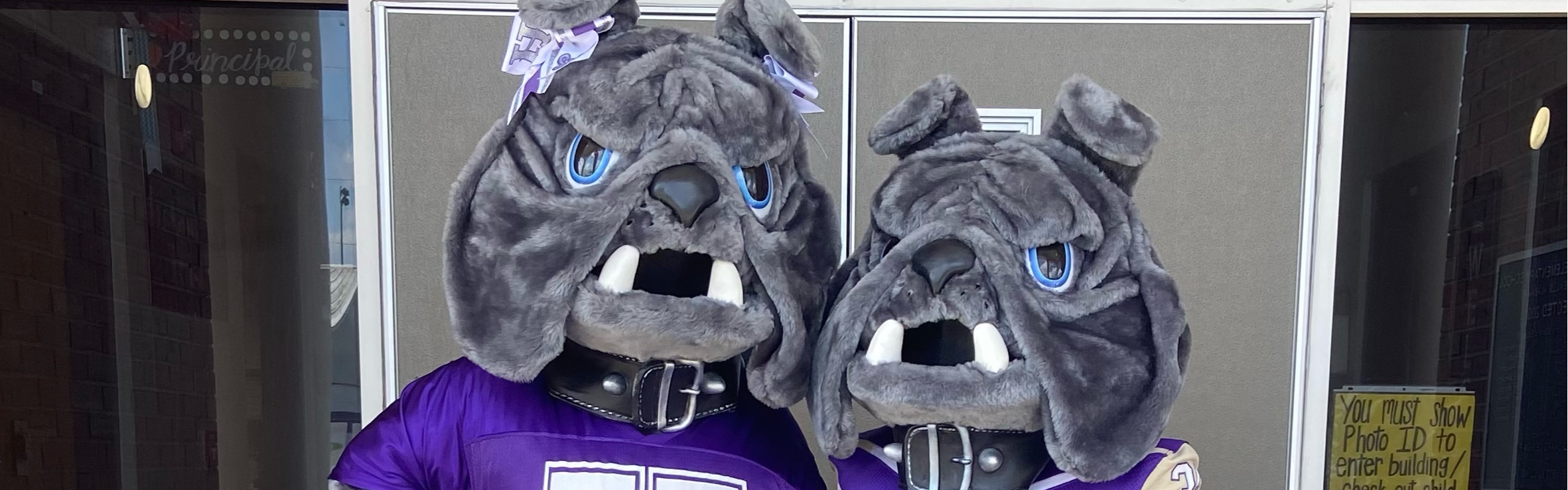 mascots