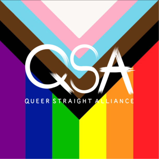 QSA logo