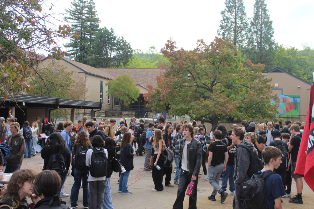 Students enjoying there time at the club fair on the quad