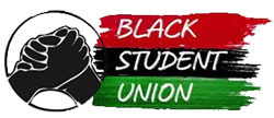 bsu