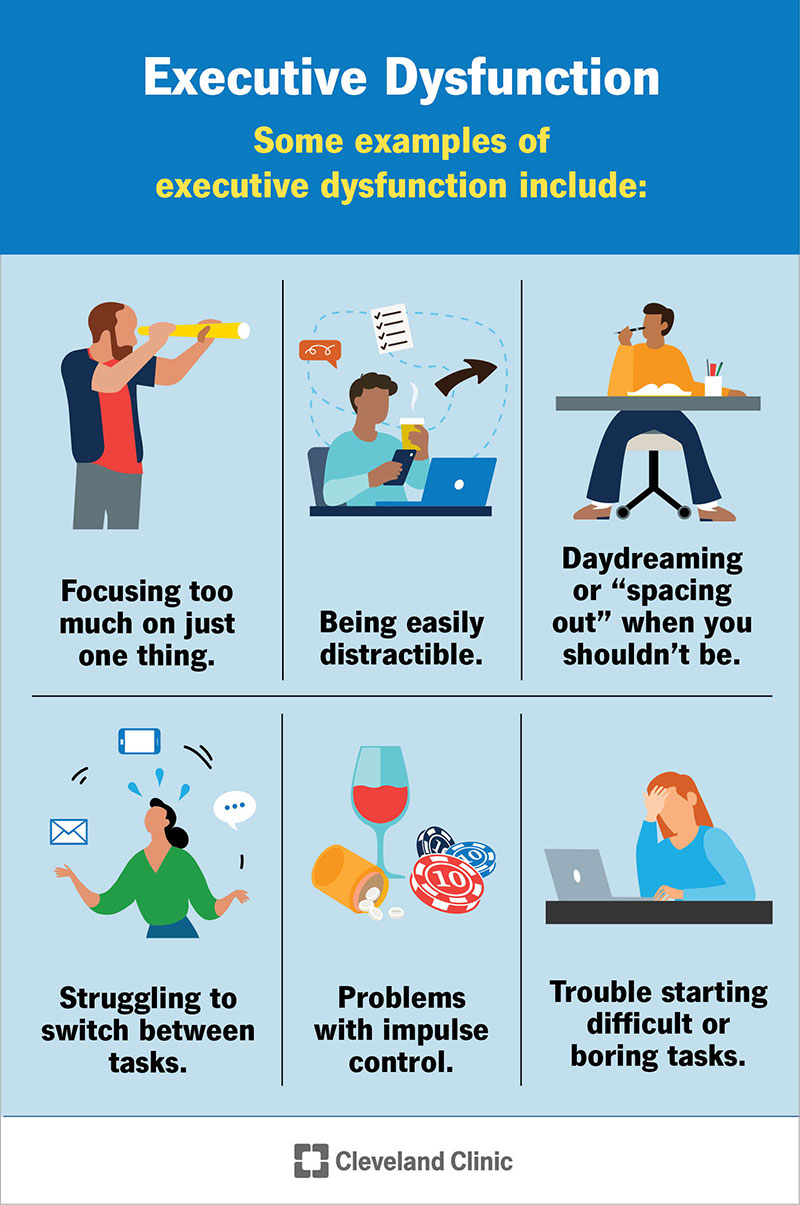 examples of executive functioning 