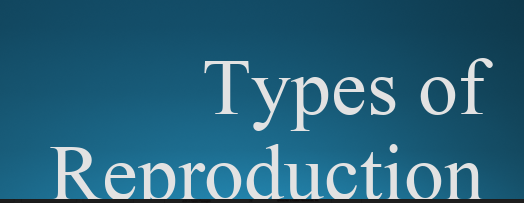 types