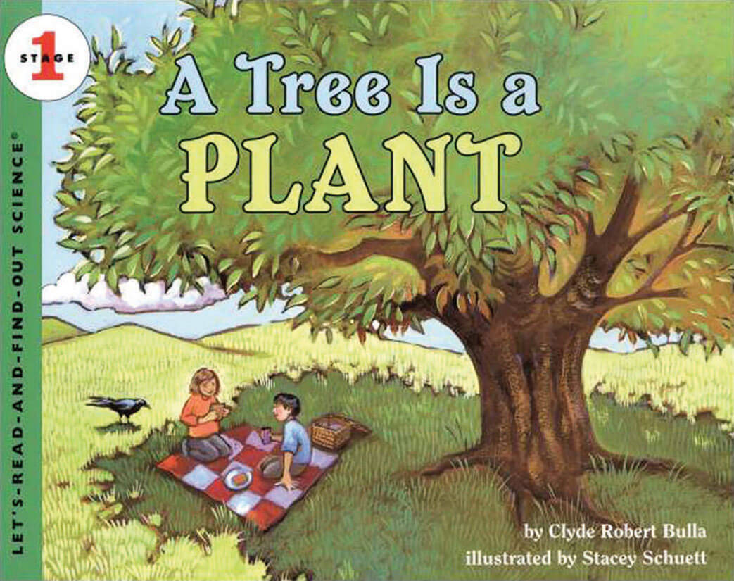 A Tree is  a  Plant by Clyde Robert Bulla 
