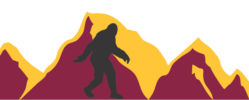 Swiftwater Logo