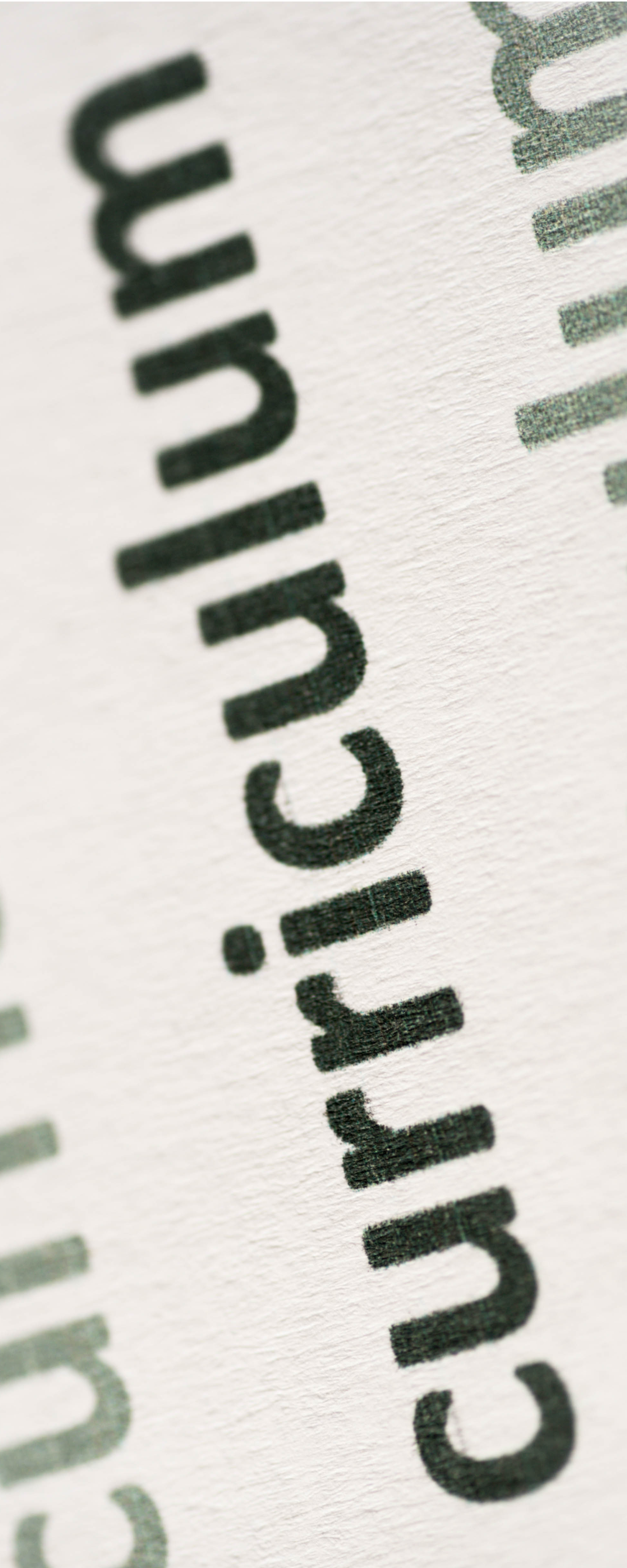 Curriculum Vertical Banner