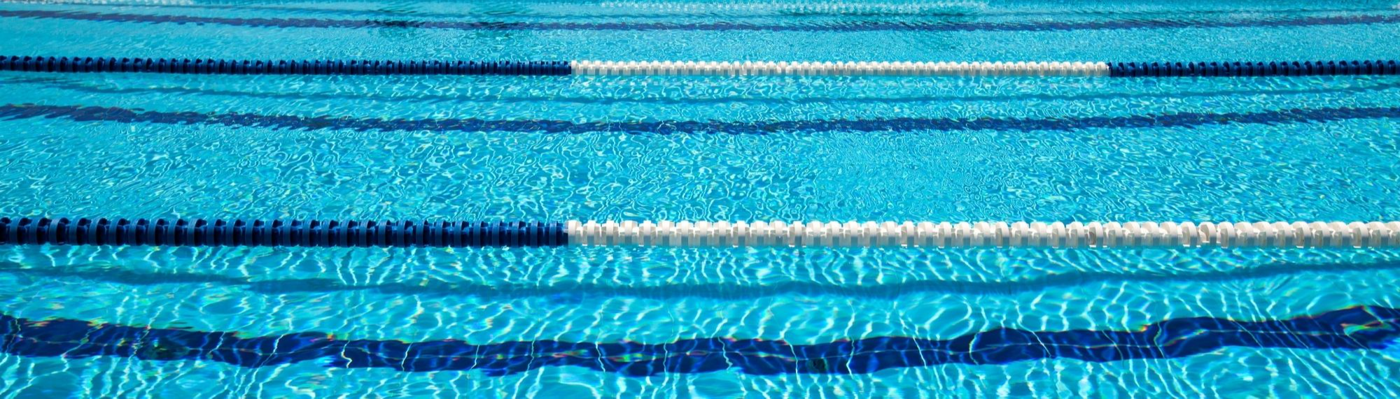 Picture of Swim Lanes at the Pool