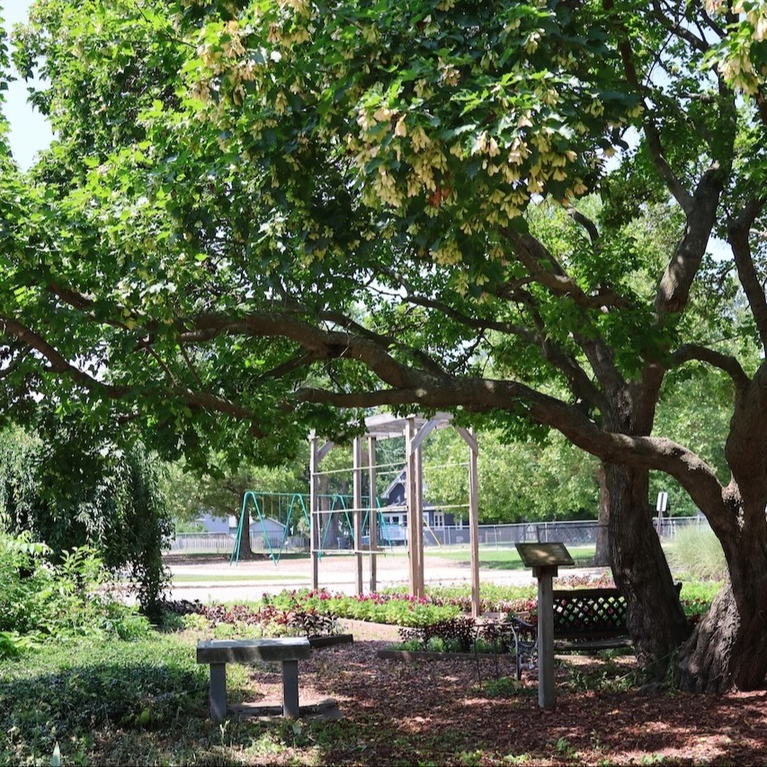 Picture of nature center at Gilkey