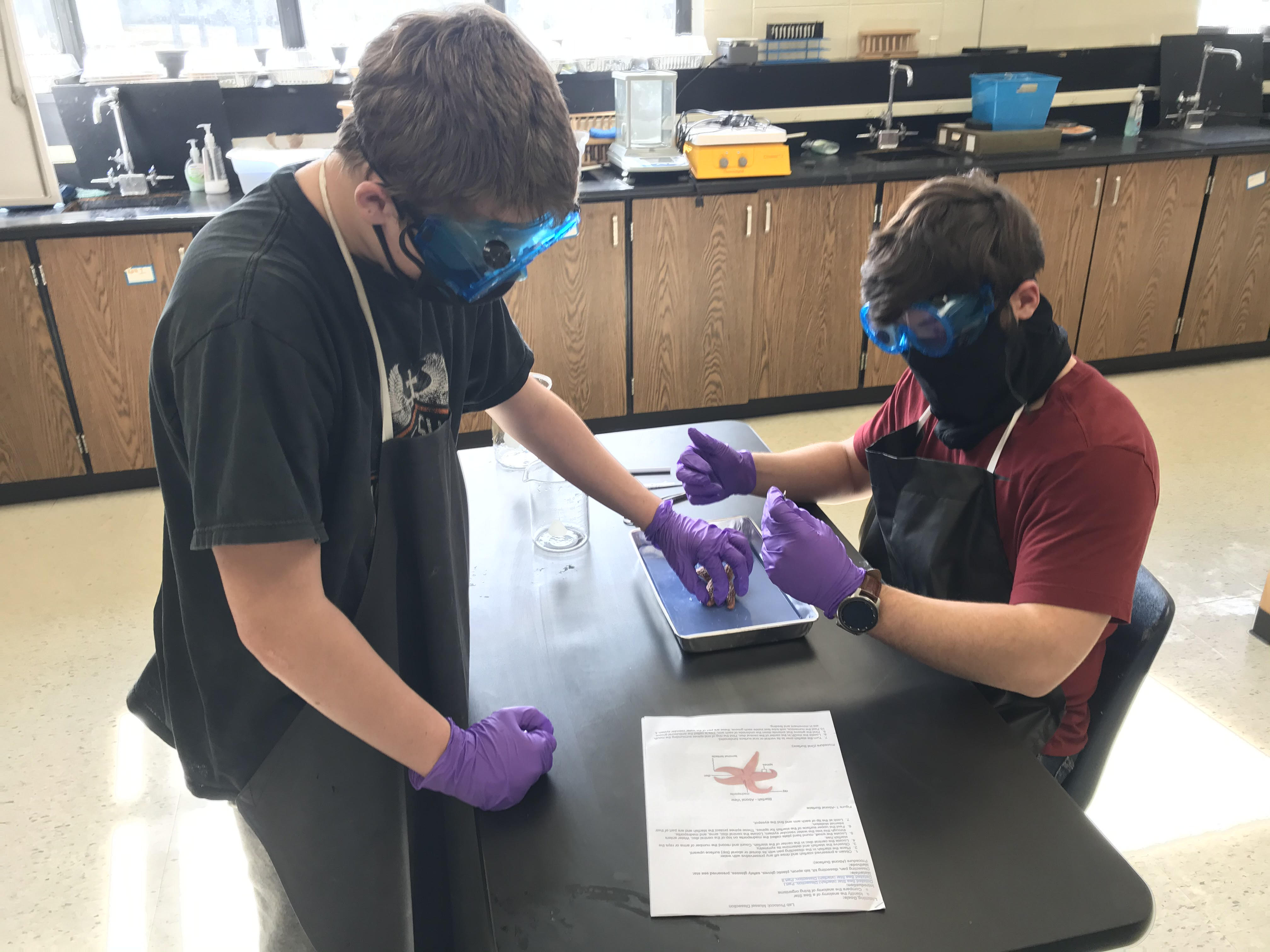 Science 4