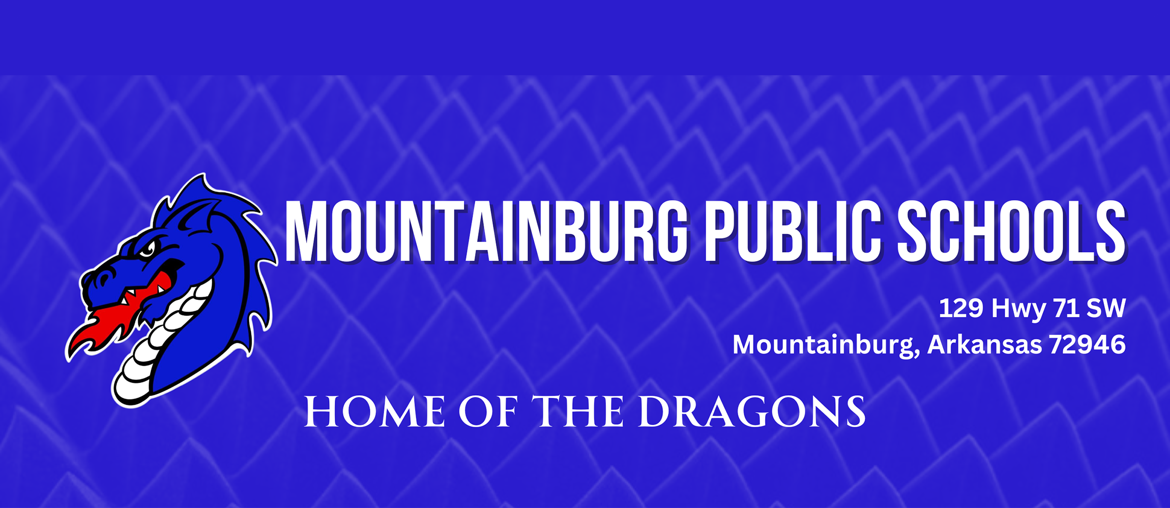 Website Header