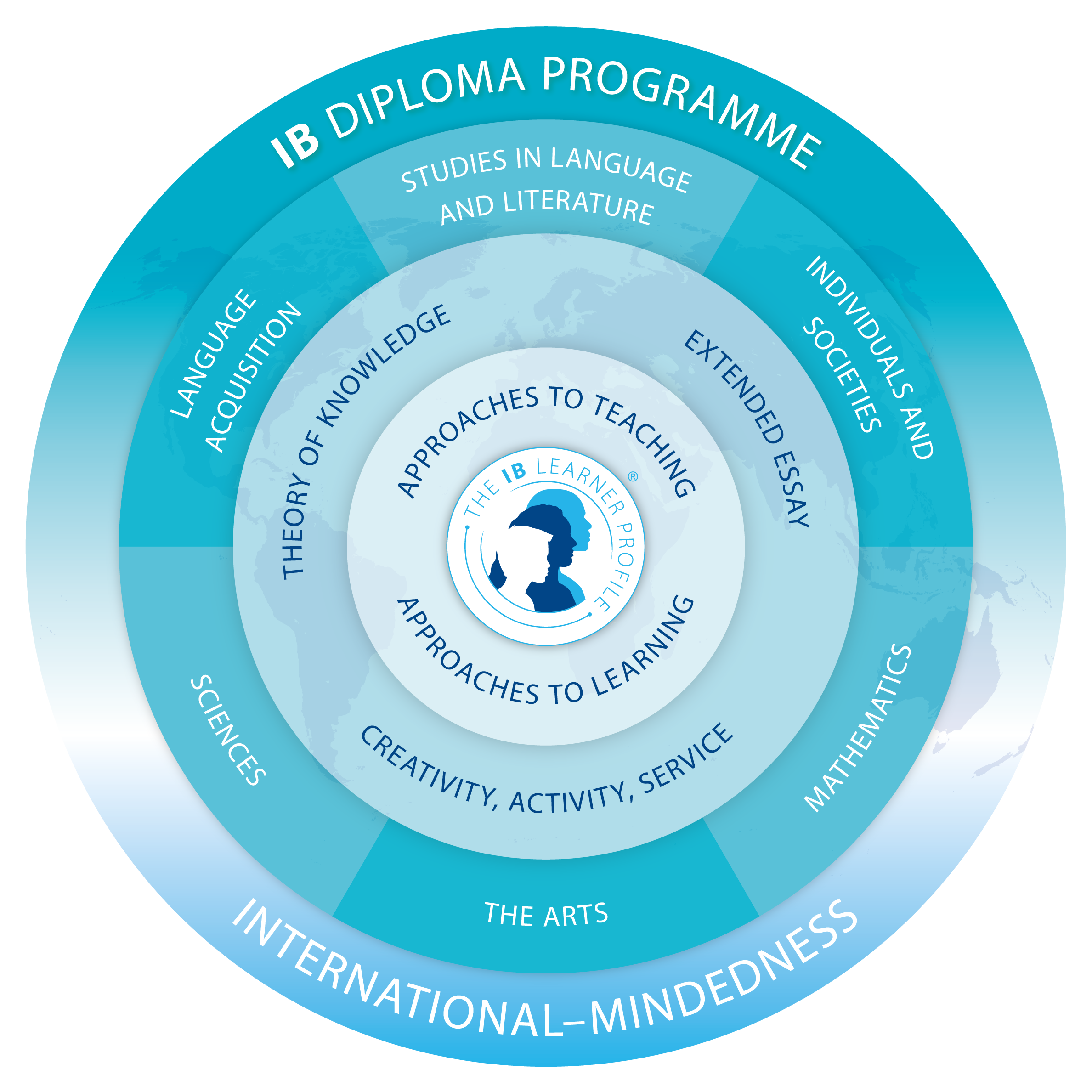 image of diploma years program model