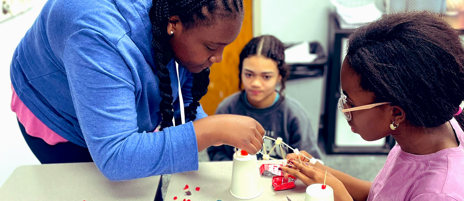 students build a concept bridge using toothpicks and marshmallows