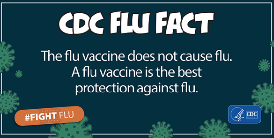 CDC FLU FACT: flu vaccine doesn't cause the flu. A flu vaccine is the best protection against the flu