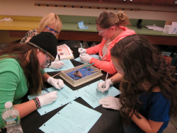 Students filling forms