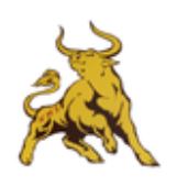 bull