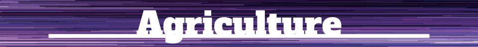Agriculture Banner