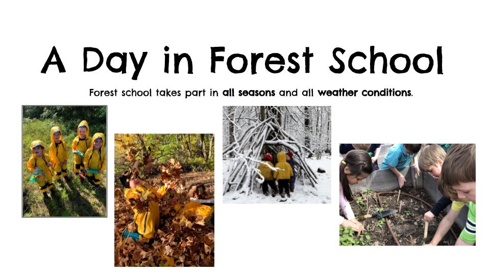 Forest School Image