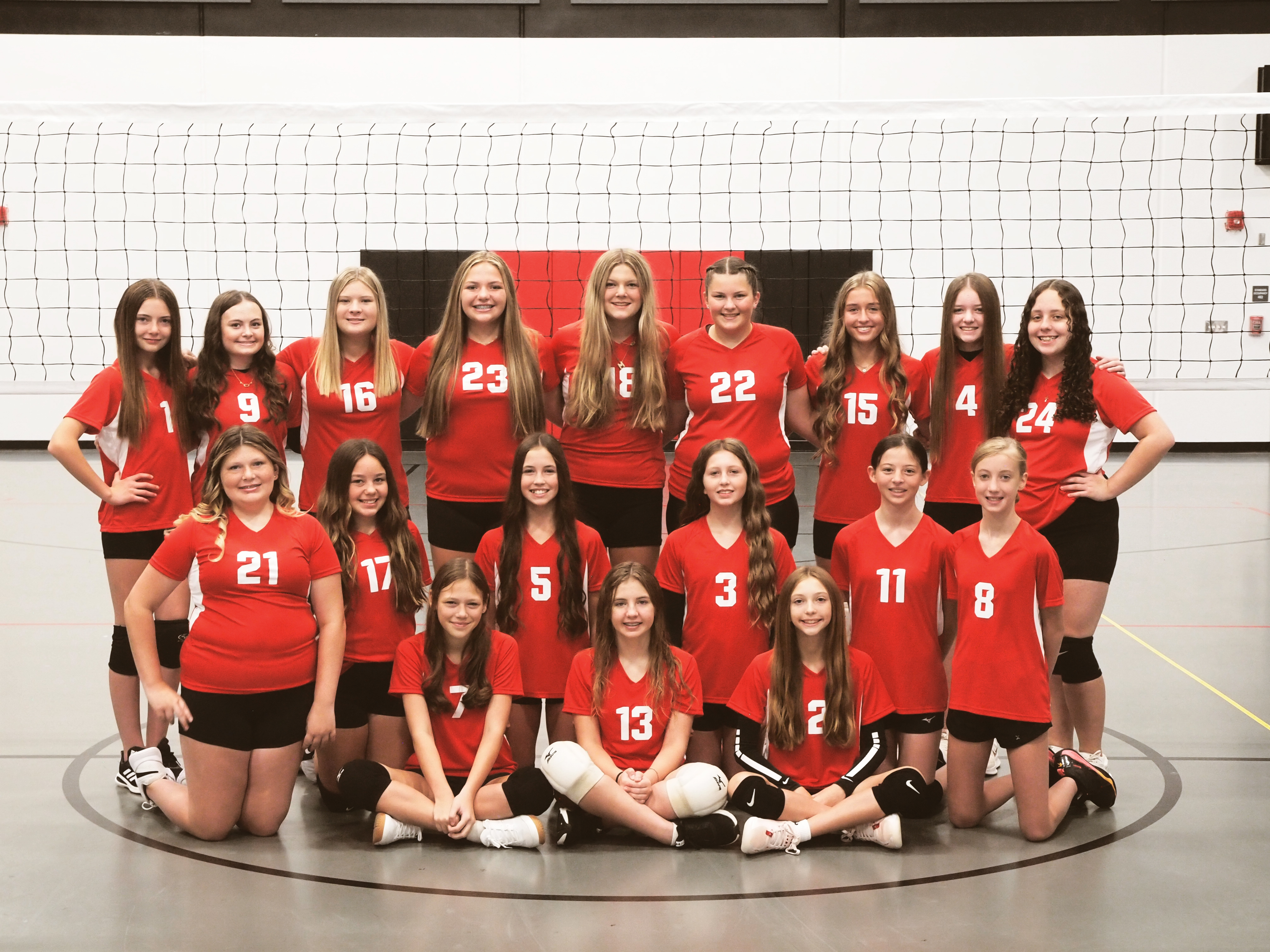 volleyball