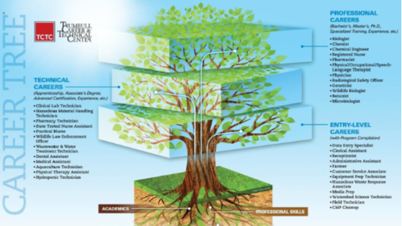 Image of career tree