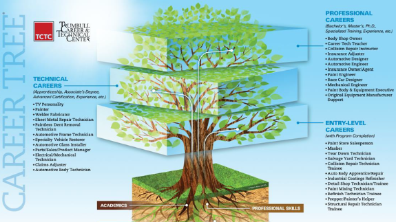 Image of career tree