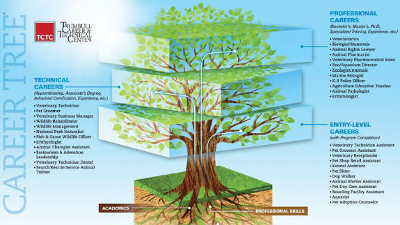 Career tree image