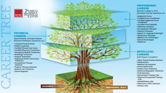 Career tree