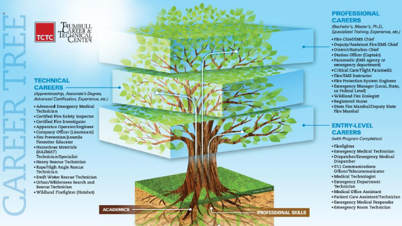 Career tree