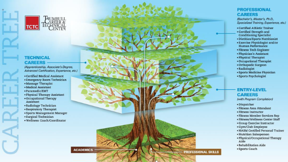 Career tree