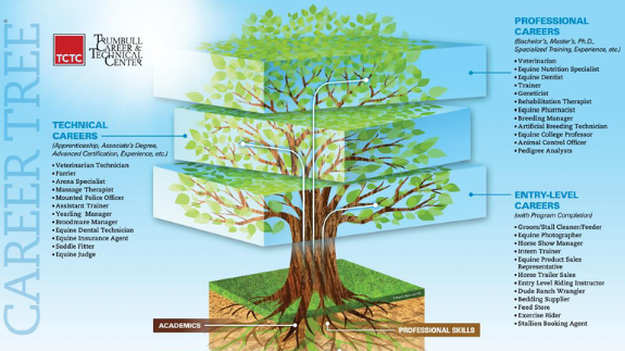 Career tree